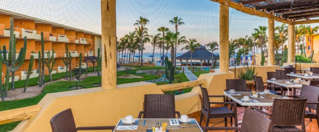 Basse-Californie Sud -  - Basse-Californie Sud, Mexique